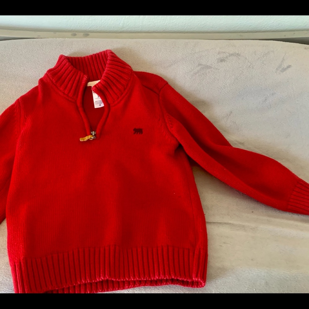 Carter sweater